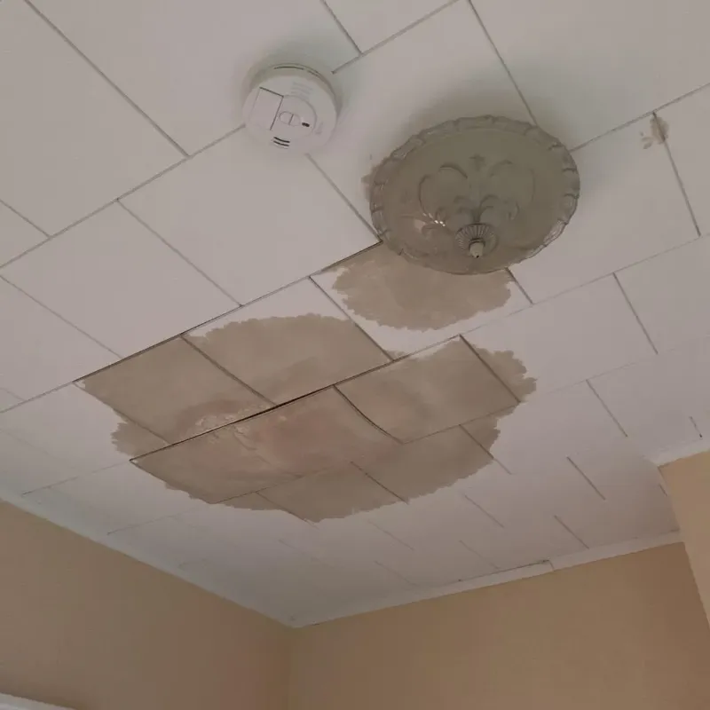 Ceiling Water Damage Repair in Pittston, PA
