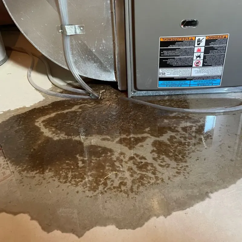 Pipe Burst and Leak Restoration in Pittston, PA